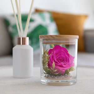 The Evermore Preserved Pink Rose Keepsake Gift Jar - The Evermore Rose