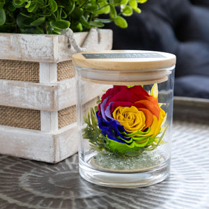 The Evermore Preserved Rainbow Rose Keepsake Gift Jar - The Evermore Rose