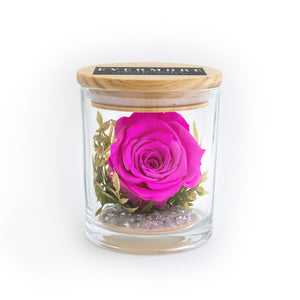 The Evermore Preserved Pink Rose Keepsake Gift Jar - The Evermore Rose