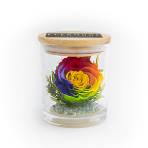 The Evermore Preserved Rainbow Rose Keepsake Gift Jar - The Evermore Rose