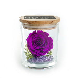 The Evermore Preserved Purple Rose Keepsake Gift Jar - The Evermore Rose