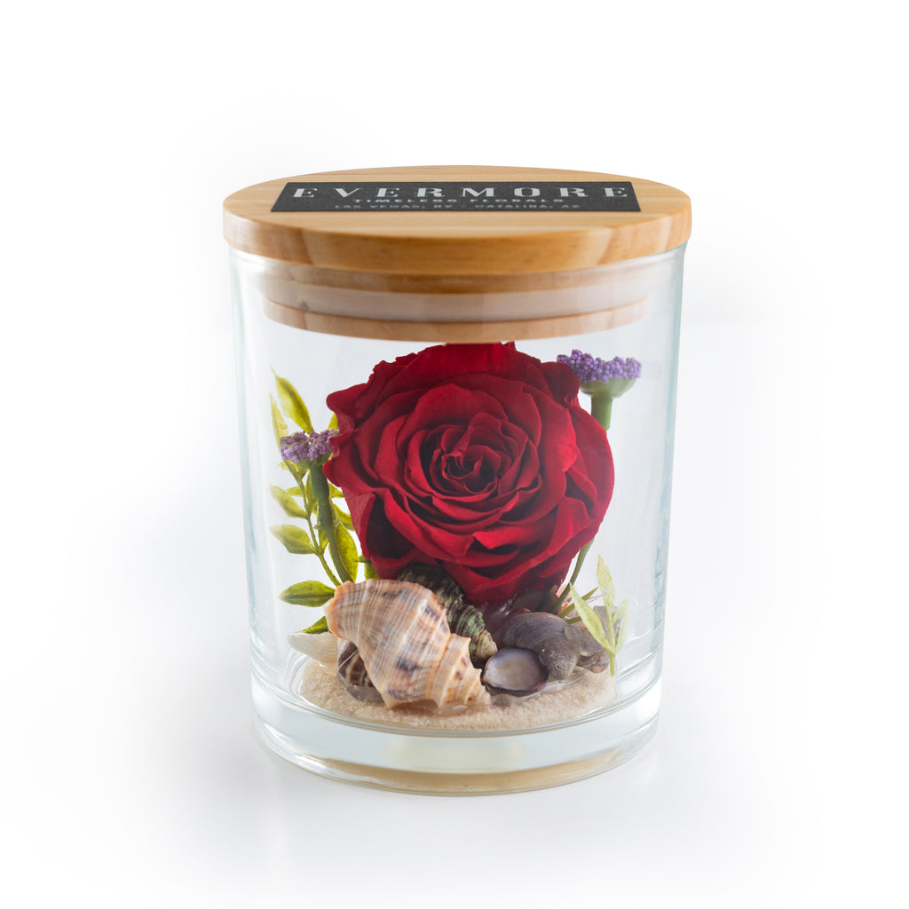 SPECIAL EDITION - The Evermore Preserved Rose Keepsake Gift Jar - Rosa Playa - The Evermore Rose