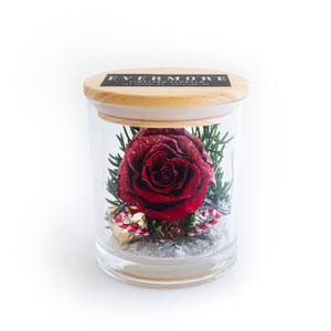 SPECIAL EDITION - The Evermore® Preserved Rose Keepsake Gift - CHRISTMAS - gift for girlfriend - gift for wife - birthday - anniversary gift - The Evermore Rose