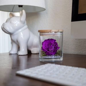 The Evermore Preserved Purple Rose Keepsake Gift Jar - The Evermore Rose