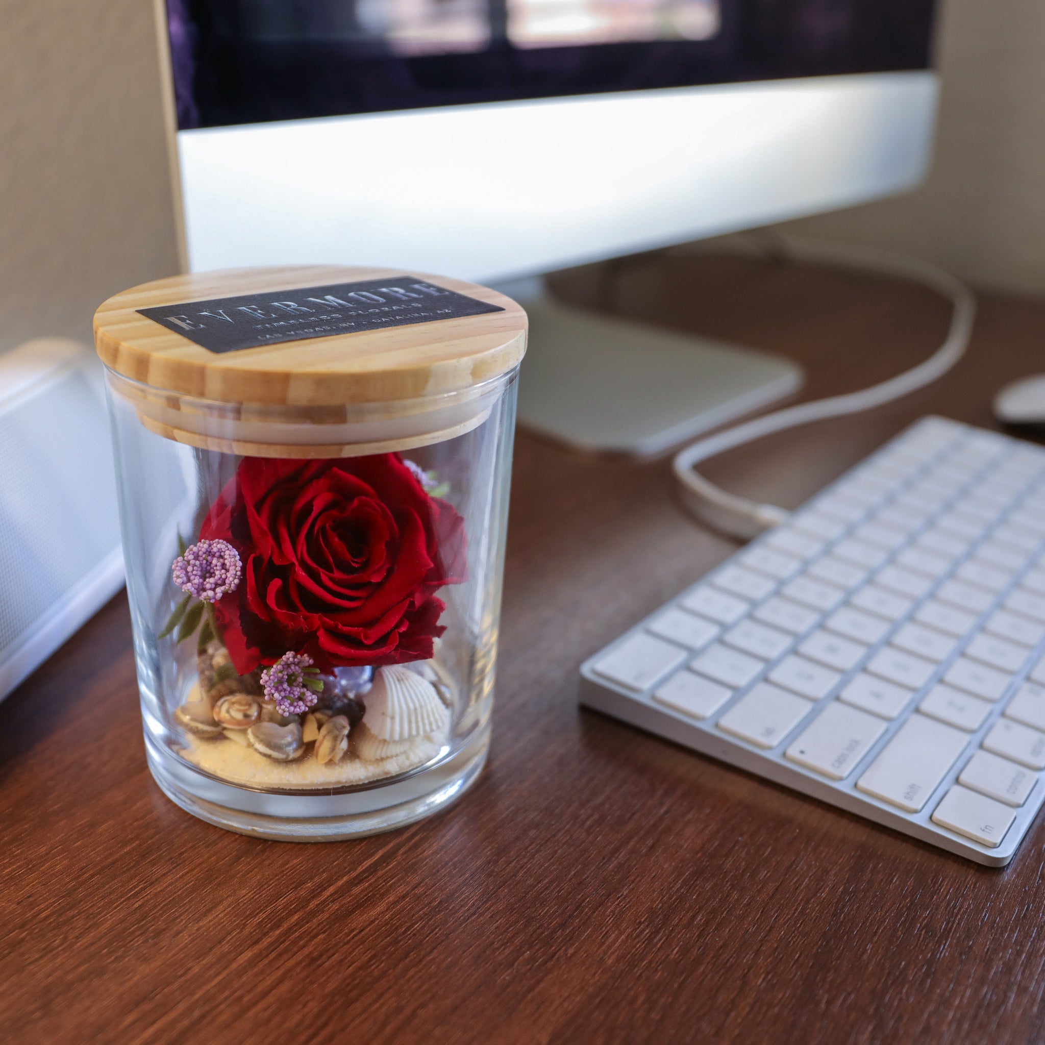 SPECIAL EDITION - The Evermore Preserved Rose Keepsake Gift Jar - Rosa Playa - The Evermore Rose