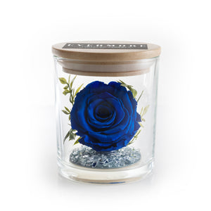 The Evermore Preserved Blue Rose Keepsake Gift Jar - The Evermore Rose