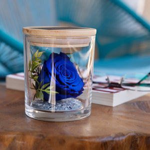 The Evermore Preserved Blue Rose Keepsake Gift Jar - The Evermore Rose