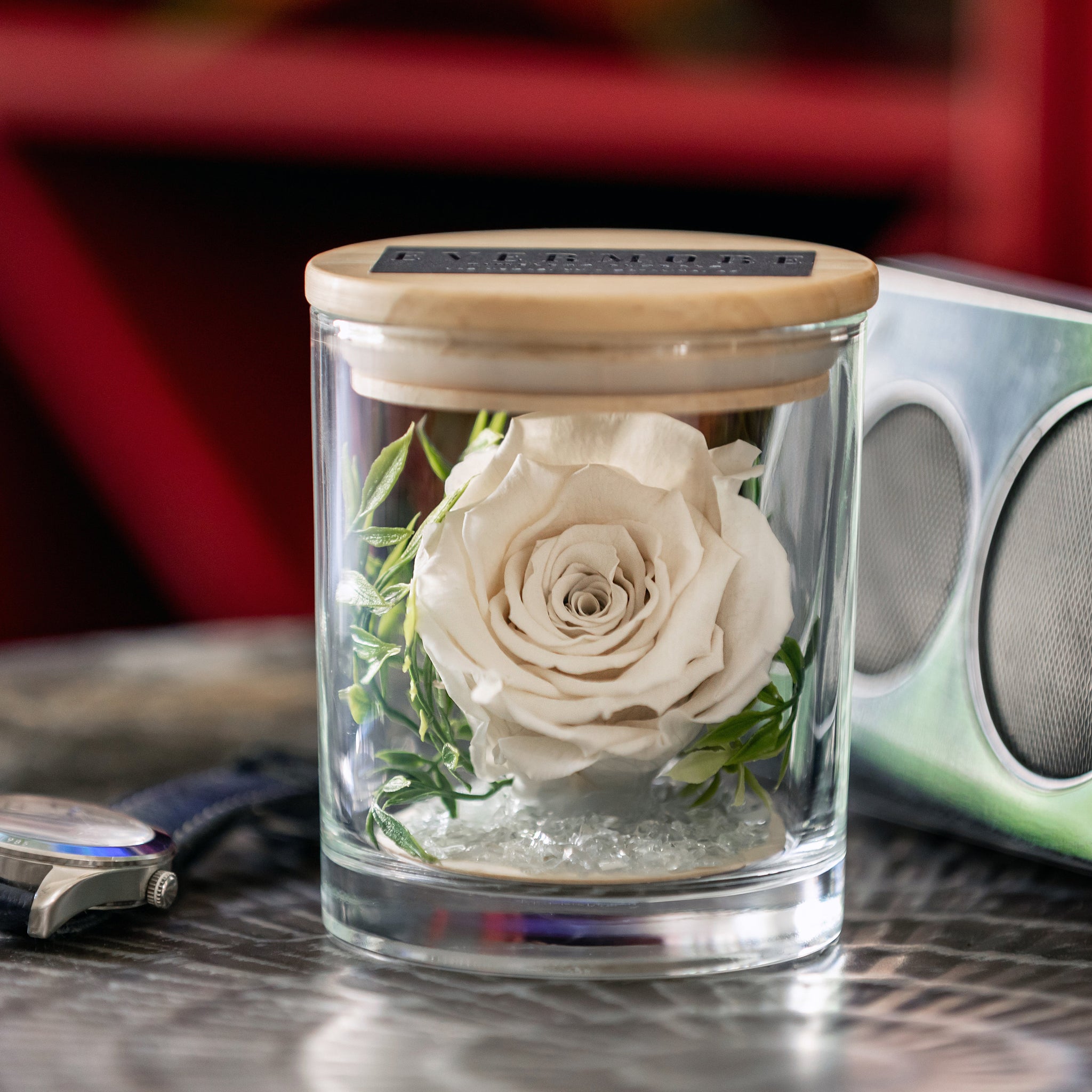 The Evermore Preserved White Rose Keepsake Gift Jar - The Evermore Rose