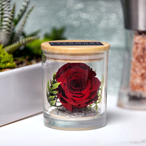 The Evermore Preserved Red Rose Keepsake Gift Jar - The Evermore Rose