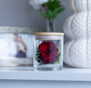 The Evermore Preserved Red Rose Keepsake Gift Jar - The Evermore Rose