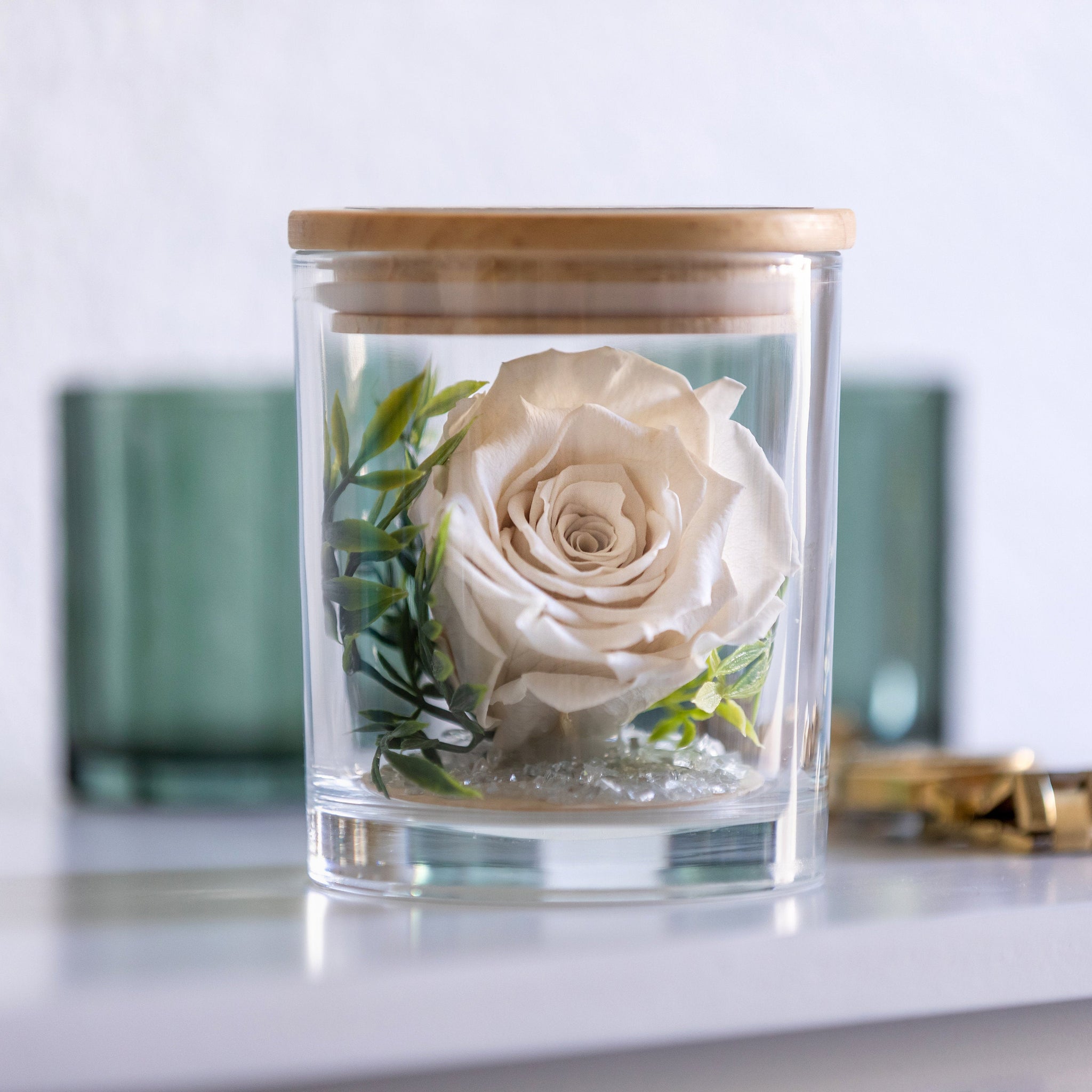 The Evermore Preserved White Rose Keepsake Gift Jar - The Evermore Rose