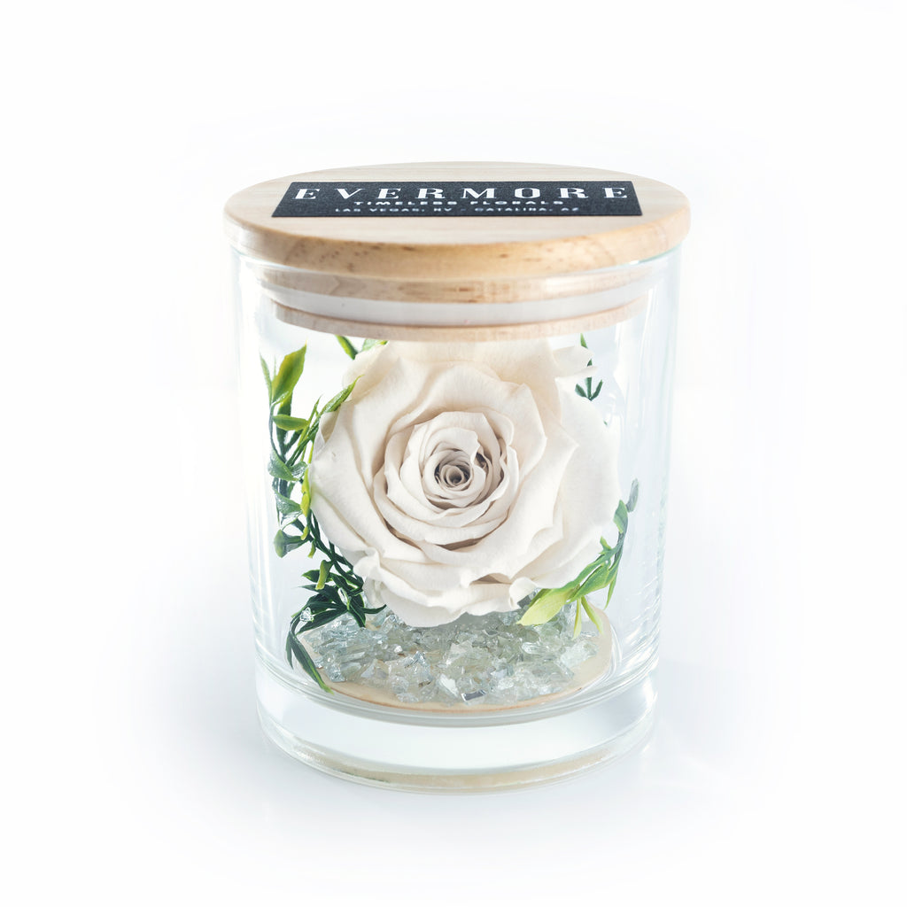 The Evermore Preserved White Rose Keepsake Gift Jar - The Evermore Rose